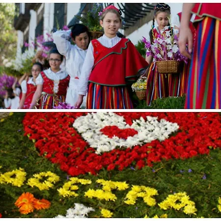 Apartment Marina View With Parking Free *