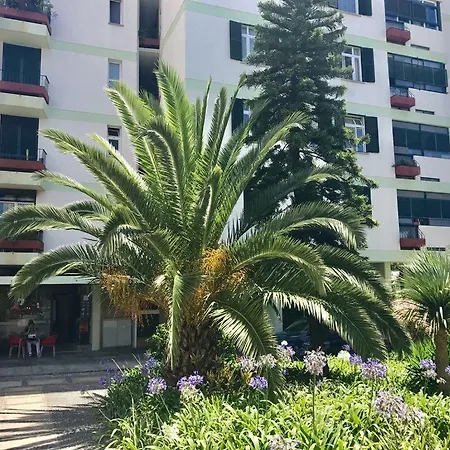 公寓 Marina View With Parking Free 丰沙尔